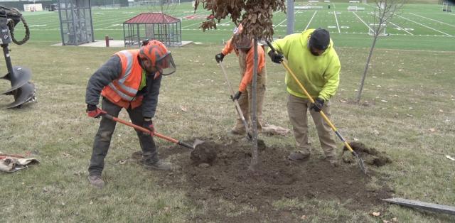 Sustainability Rooted in Sustainability