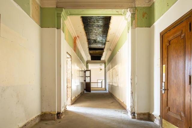 A white hallway with green paint at the top and crown molding can be seen above the green.