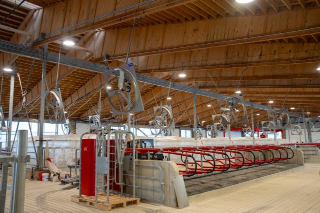 A view of the dairy barn where cattle stalls are seen.